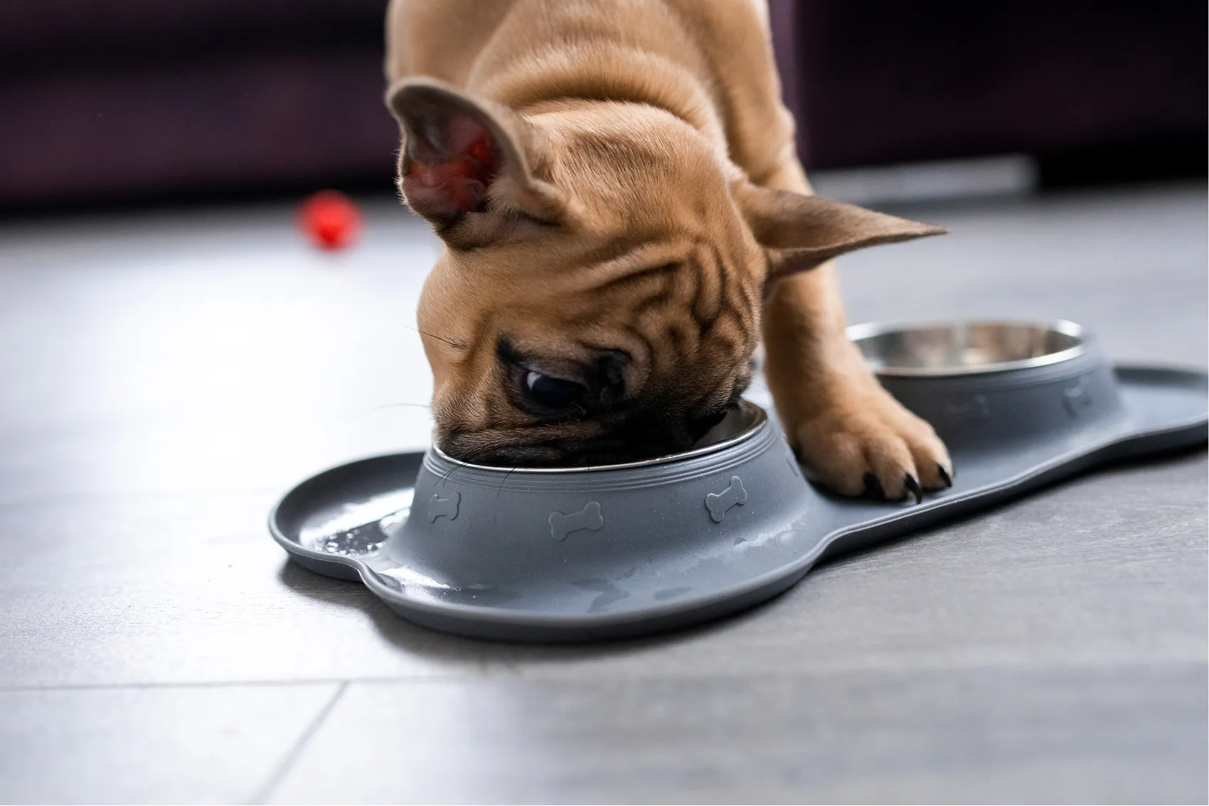 Food and <b>weight management</b>
